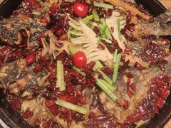 -老板恋上鱼(恒隆广场店)