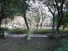 -重庆平顶山公园