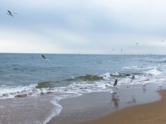 -老虎石海上公园