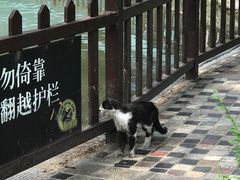 -酷鱼垂钓CLUB(朝阳区博大路店 )