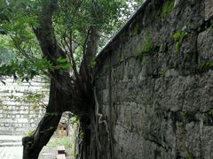 -胡里山炮台
