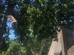 -衡山路(地铁站)