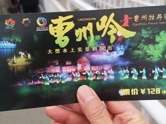 -曹州牡丹园