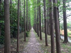 -上海长兴岛郊野公园