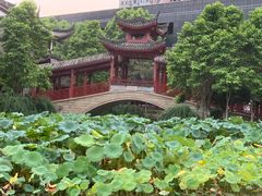 -龙潭水乡