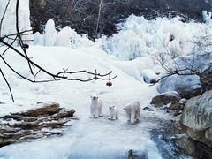 -黑龙潭风景区