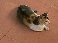 -天河体育中心