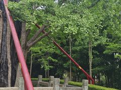 -上海佘山国家森林公园天马山园