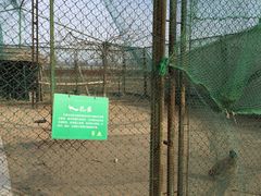 -北京拉斐特城堡酒店