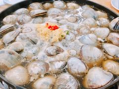 -顺德哥卜卜贝(旗舰店)