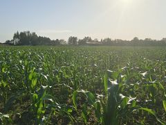 -中国天府农业博览园