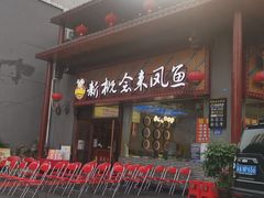 -新概念来凤鱼(璧山店)