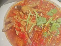 -京悦南门涮羊肉·羊蝎子火锅(田林路店)