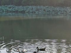 -上海怡沁园度假酒店