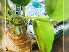 -有才叔的小馆(招商依云曲江店)