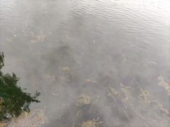 -百脉泉景区
