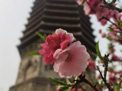 -玲珑塔公园