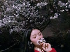 -武汉大学-樱园