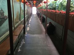 -窄巷子陕菜馆·地道陕西菜(粉巷店)