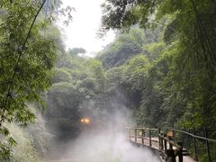 -川西竹海景区