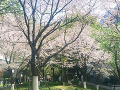 -苏州市立医院本部母子保健中心