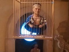 -信不信由你博物馆