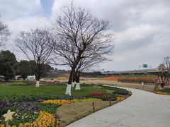 -秀丽东方
