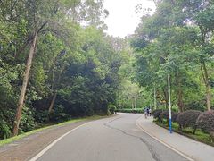 -火炉山森林公园