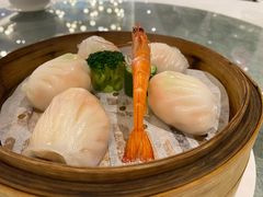 和苑招牌虾饺-和苑·精致粤菜(珠江新城店)