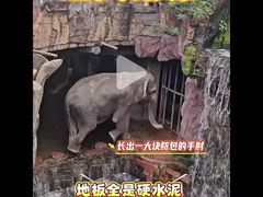 -长鹿旅游休博园