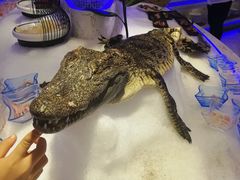-澜悦港海鲜体验主题餐厅
