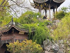 -芥子园