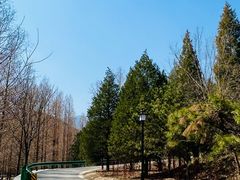 -白水寺森林公园