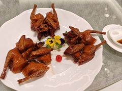 -和苑·精致粤菜(珠江新城店)