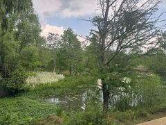 -同里国家湿地公园