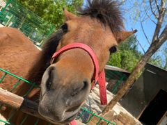 -西部长青自然儿童乐园