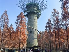 -黄海国家森林公园