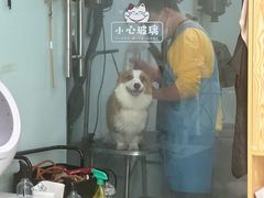 -中农大我爱我爱动物医院·核磁CT·猫病·24小时夜诊中心(石佛营店)