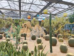 -南宫五洲植物乐园