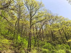 -终南山南五台景区