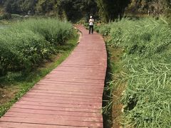 -广州市石门国家森林公园