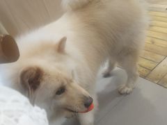-肆兮眼镜·蔡司·徕卡战略合作店(大坪店)