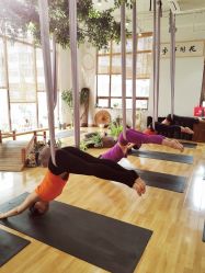 -花间禅净·瑜伽