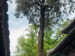 -潭柘寺景区