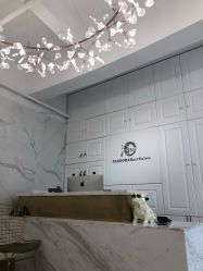 -潘多拉Hairsalon