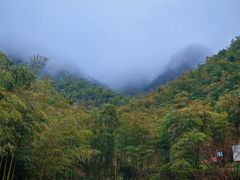 -莫干山风景区