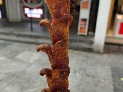 -黑色经典臭豆腐·湖南特产(太平街口店)