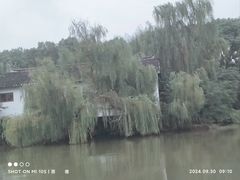 -溱湖国家湿地公园