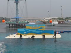 -秦皇岛乐岛海洋王国