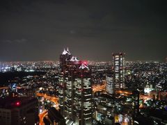 -东京都厅舍